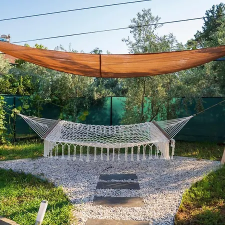 Hotel Z Kargi