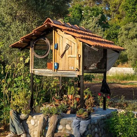 Hotel Z Kargi